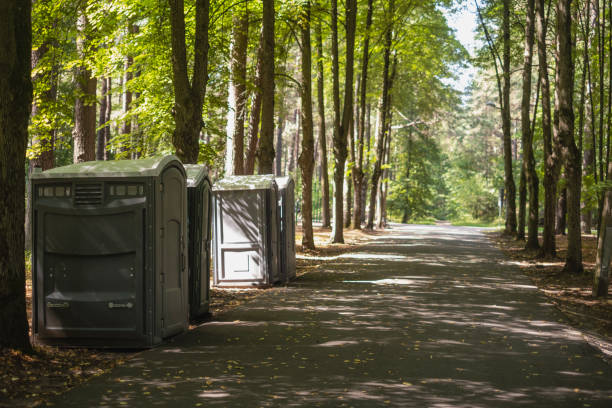 Best Portable bathroom rental  in Cherry Grove, OH